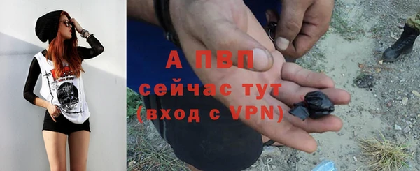 спиды Абинск
