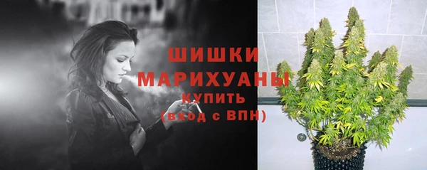 дурь Дмитриев